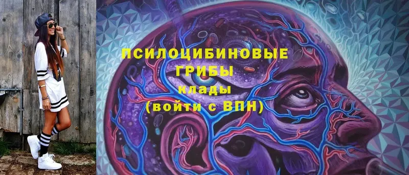 Галлюциногенные грибы Magic Shrooms  даркнет сайт  Медвежьегорск 